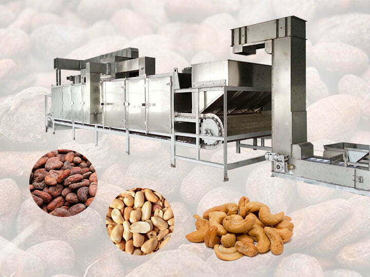 Large cashew nut drying machine